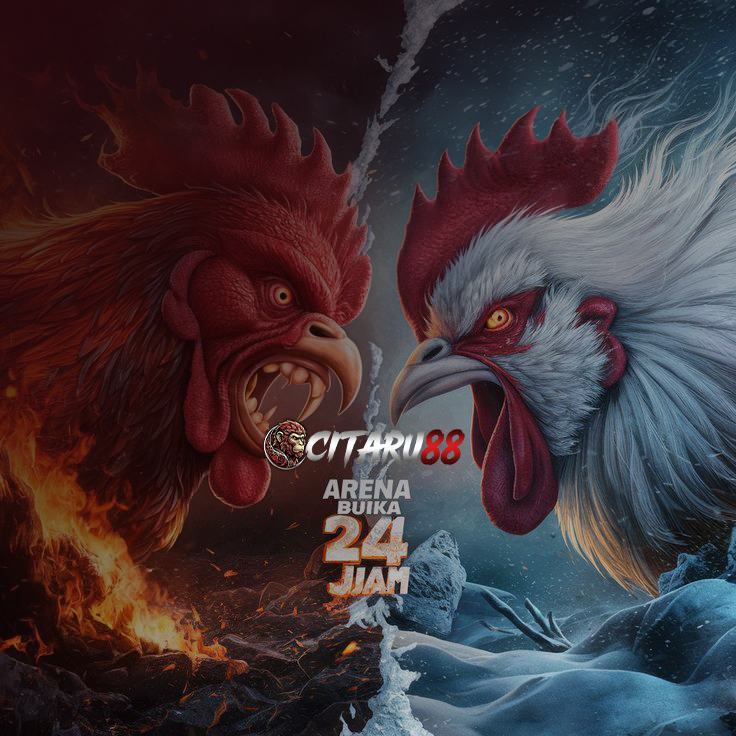 SV388: Situs Judi Resmi Bandar Link Live Sabung Ayam Online Terpercaya